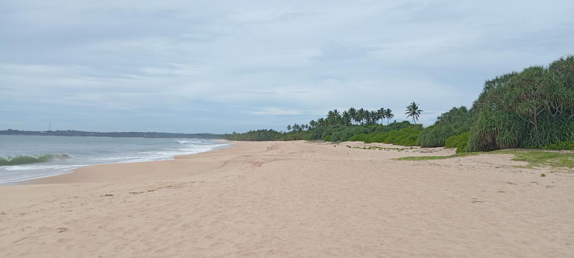 Bed and Breakfast Eco Nest Marakolliya Tangalle Exterior foto