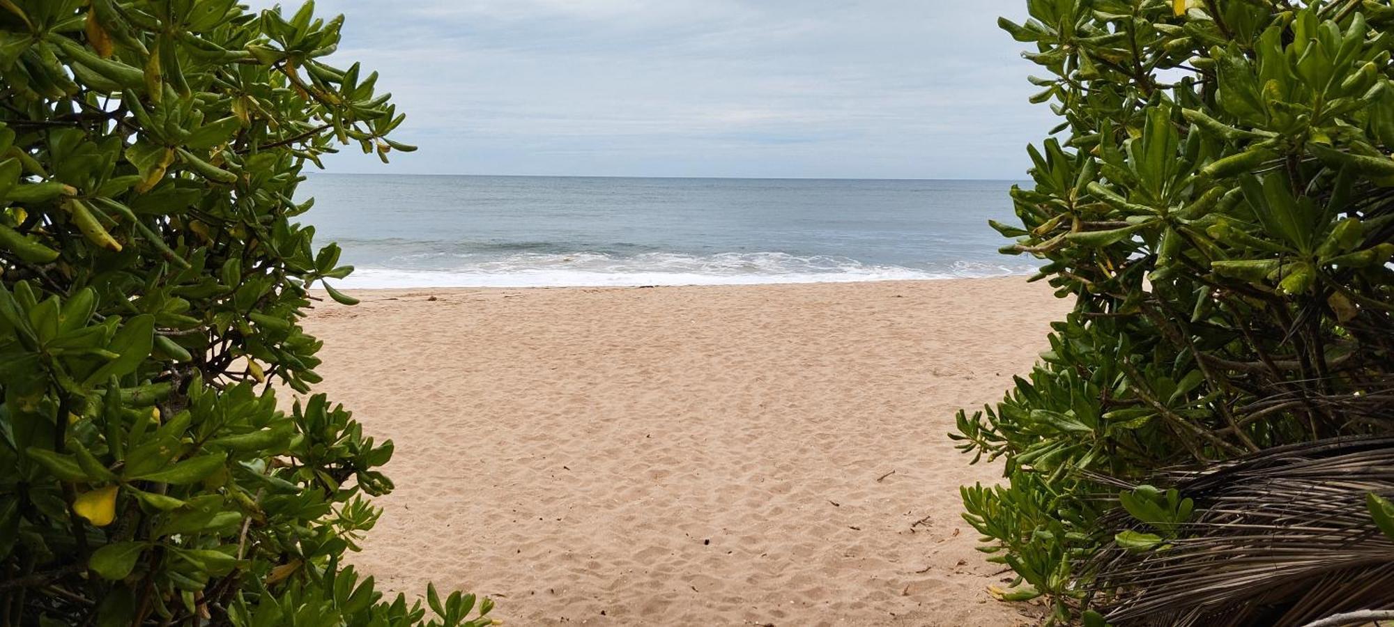 Bed and Breakfast Eco Nest Marakolliya Tangalle Exterior foto